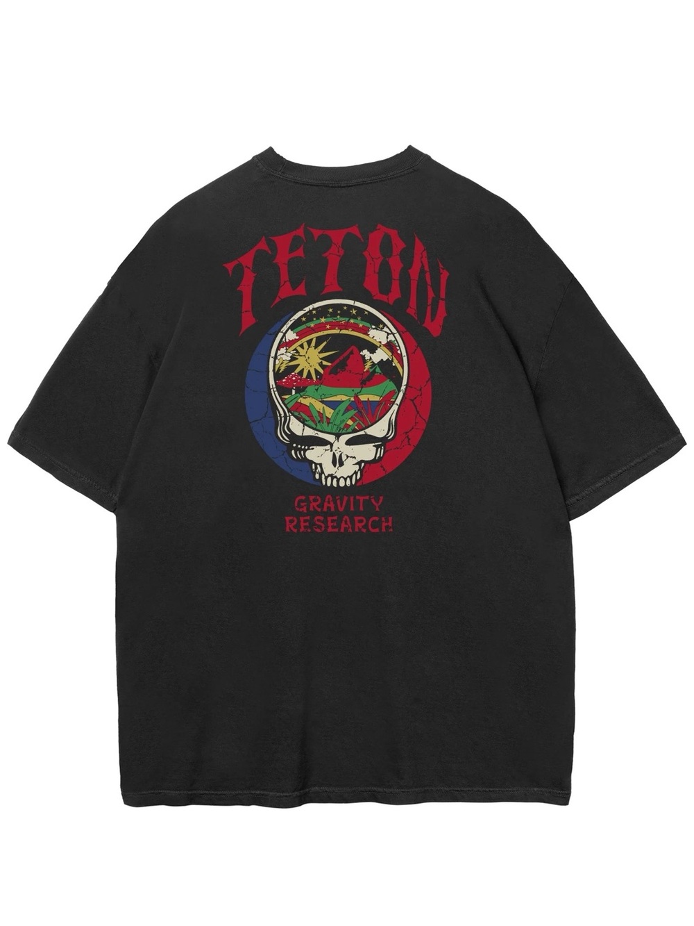 Teton Gravity Research x Grateful Dead SYF Steal Your Face Black Men's T-Shirt